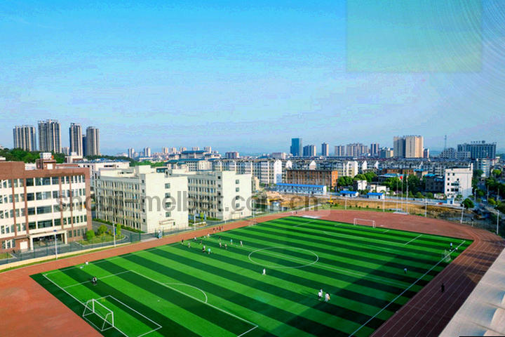 2019与2024版本主界面对比示意图，突出按钮位置变化